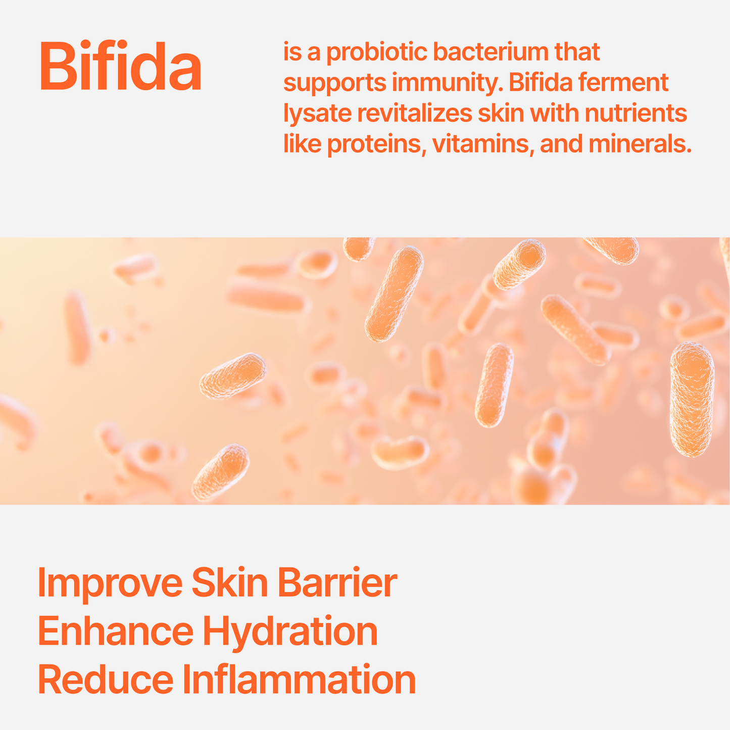 CU Dr. Solution Bifida Cream
