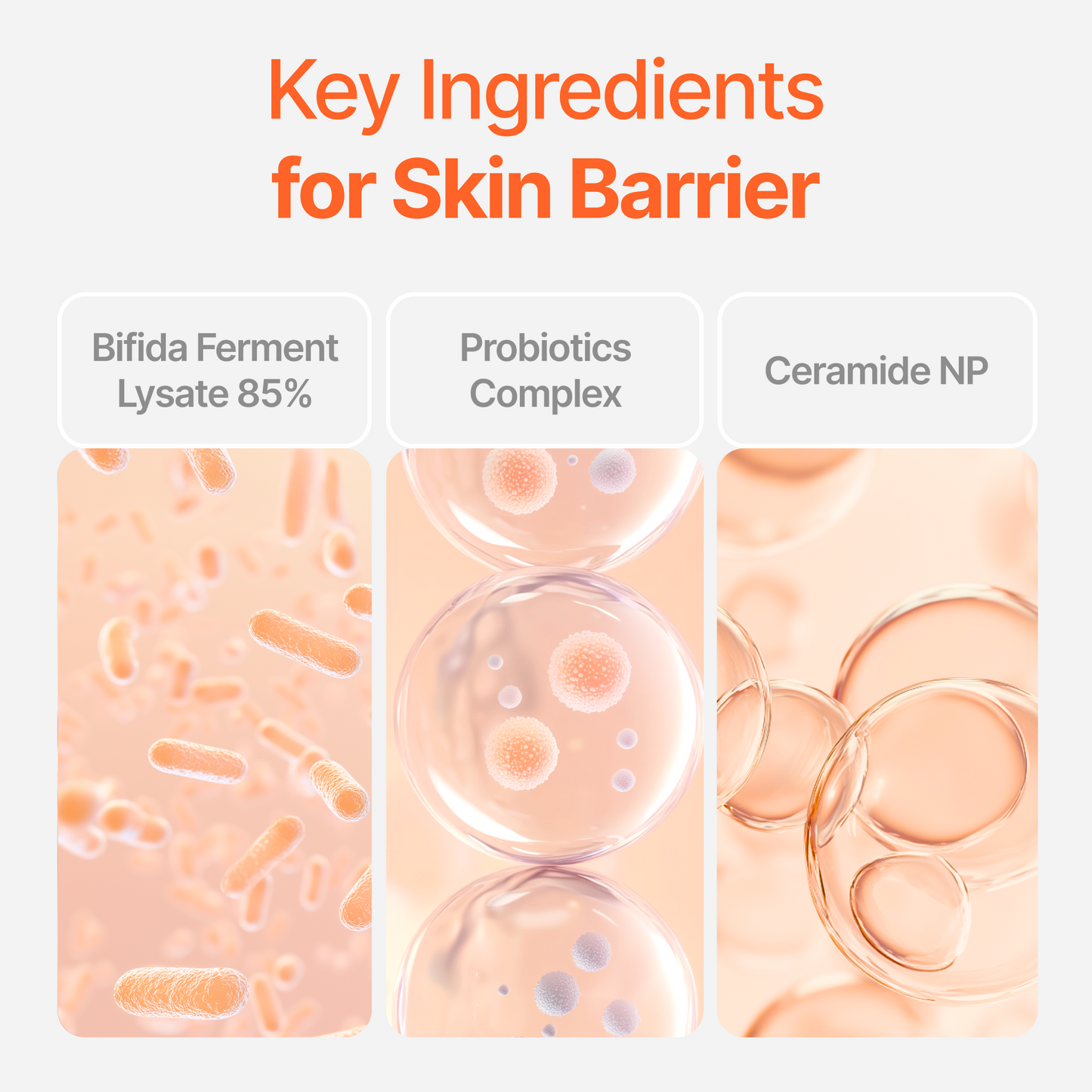 CU Dr. Solution Bifida Toner