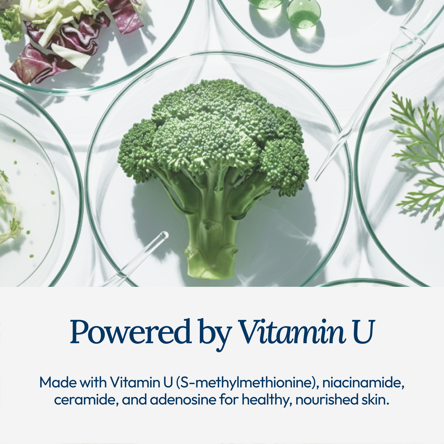 CU: Vitamin U Anti-Aging Cream